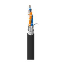 Belden 3106DB 0101000 RS-485, 1 Pr, 22AWG, Str TC, PE Ins, with OS, 1 c #22AWG Str, PVC Ins, OA TC Brd, CPE Jkt, CM, PLTC, Sun Res, Dir Bur, Oil Resistant