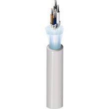 Belden 1346F T5U1000 DeviceBus® for ODVA DeviceNet™, 2 Pr #22+24 Str TC, PVC+PO Ins, IS+OA TC Brd, TPE Jkt, CMG