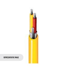 Belden 1115A 0105000 Type JX Thermocouple, 1 Pr #16 Sol, FEP Ins Wht, Red, OS, Blk FEP Jkt, 300V PLTC CL2P 200C SUN RES
