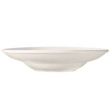 BASICS ENTREE/PASTA BOWL 16oz 11-3/4