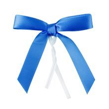 TWIST TIE BOW 3x2-1/2 PRE-TIED POLYESTER SATIN BLUE 4000/cs