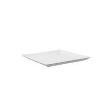 BIO'N'CHIC PLATE 7x7