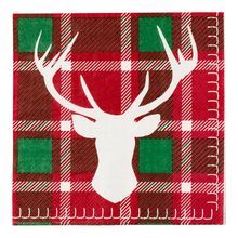 LUNCHEON NAPKIN 13