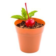 MINI FLOWER POT 4oz 2-1/2