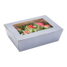 TAKEOUT 71oz 8-3/4x6-1/2