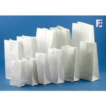 BAG PAPER #20 POUND WHITE 40BW 8.25x5.25x16.13 500/cs
