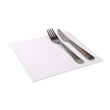 NAPKIN 15-3/4