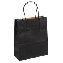 RETAIL BAG 7x3-1/4x8-1/2