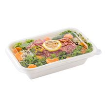 FLAT LID 8-1/2x5-1/2
