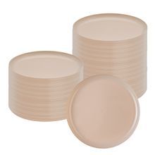 PLATE 6-1/4