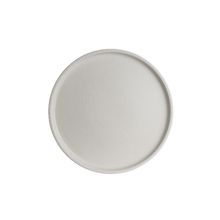 POTTER'S PLATE 10-5/8