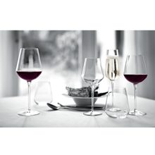 INALTO UNO BORMIOLI WINE GLASS 13oz 8-1/4