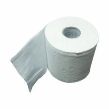SPC 8855 Toilet Tissue, 3/4 in Diameter Core, 2 Ply