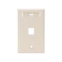 QuickPort® 42080-1TS Wallplate With ID Window, 1 Gang, 4-1/2 in L x 2-3/4 in W, Flush Mount, Plastic