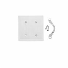 Bryant Electric NP24W Standard Blank Wallplate, 2 Gangs, 4.63 in H x 4.69 in W, Nylon, White