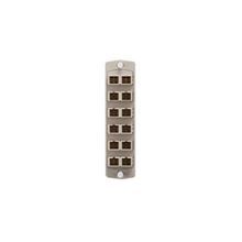 Leviton® Opt-X® 5F100-2IC SDX Precision Molded Adapter Plate, SC Duplex End A, SC Duplex End B, (12) OM1 62.5/125 um Multi-Mode Fiber, Zirconia Ceramic Connector