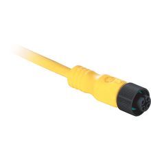Allen-Bradley 889D-F4GCDM-3 DC Micro Cable, Female, Str., Female, Str., 4 Pins, Std Materials, 4 Pins, DC Micro, Male, Str., Str., Male, DC Micro (M12), Same as First End, PVC Cbl, Grey, UnShld, 22AWG, Patchcord, PVC Cable, Grey, 22AWG, Std, 3 m