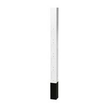 Wiring Device-Kellems Style Line® HBLPPOW Three Service Blank Service Pole With Divider, 10 ft 2 in L x 2.13 in W, Aluminum