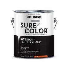 Sure Color Flat Interior Wall Paint - Black
