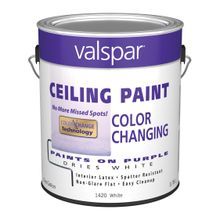 Color Changing Latex Ceiling Paint - 1Gallon