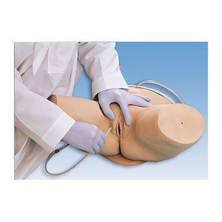 female catheter simulator armstrong