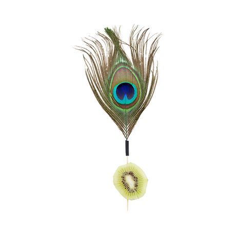 SKEWER BAMBOO 6" PEACOCK EYE CMPST NATURAL 500/cs