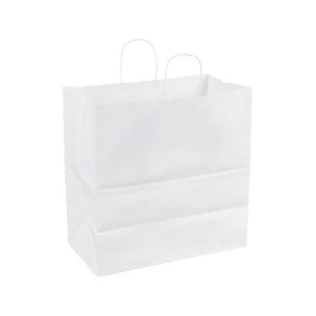 BAG PAPER TWISTED HANDLE WHITE 13x7x13" BW:65 250/cs