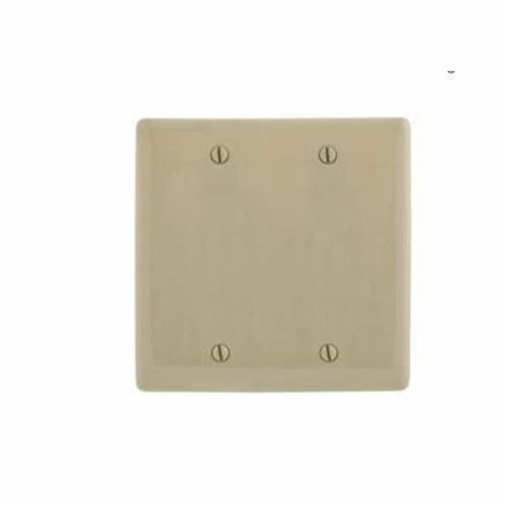 PREMISE WIRING NP23I Standard Blank Wallplate, 2 Gangs, 4.63 in H x 4.69 in W, Nylon, Ivory
