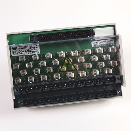 Allen-Bradley 1492-RIFM40F-F24-2 1492 Wiring Systems Modules, Digital Module with Field Removable Terminal Block, 40 Pins, Fusible, 24V AC/DC, Extra Terminal for Outputs, Two per I/O Connection