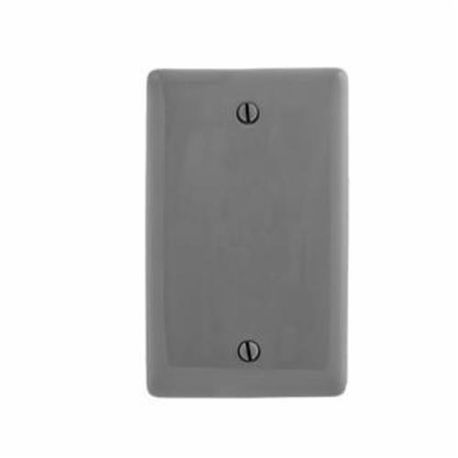 Bryant Electric NP13GY Standard Blank Wallplate, 1 Gang, 4.63 in H x 2.88 in W, Nylon, Gray