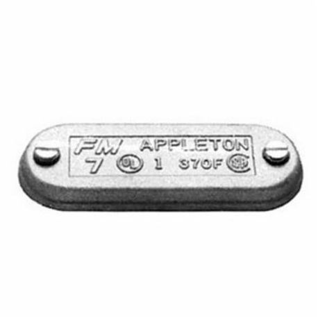 Appleton® Wedge-Lok™ 170F Blank Clip Cover, 1/2 in Hub, For Use With: Form 7™ UNILETS™ Conduit Outlet Body, Cast Grayloy Iron, Triple Coated