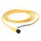 Allen-Bradley 889D-F4HCDE-1 DC Micro Style Standard Quick-Connect Cable Assembly, M12 Connector, 4-Pin Straight Female x 4-Pin Right Angle Male Connector, 1 m Cable Length
