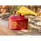 Eagle UI25FS Type I Safety Can for Flammables