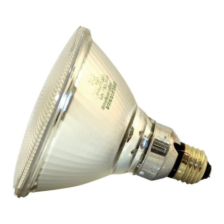 60 Watt Par 38 Capsylite Halogen Flood Light Bulb Theisen S Home 60 Watt Par 38 Capsylite Halogen Flood Light Bulb