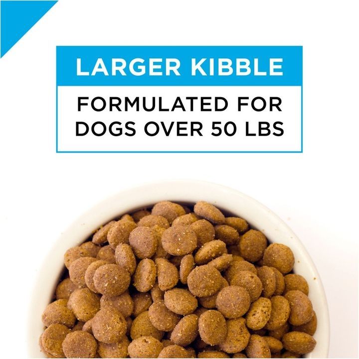 purina pro plan large breed puppy