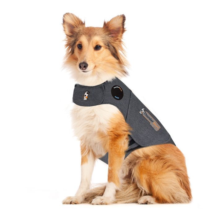 anxiety jacket for small dogs