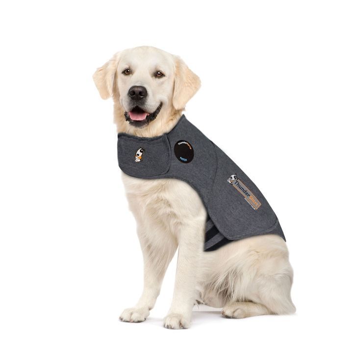 anxiety jacket for small dogs