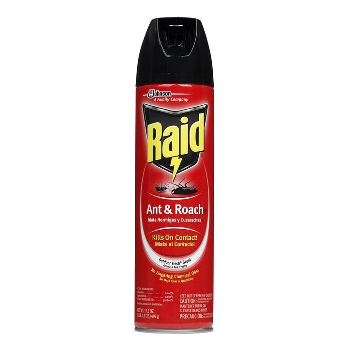 Ant & Roach Killer - 17oz | Theisen's Home & Auto